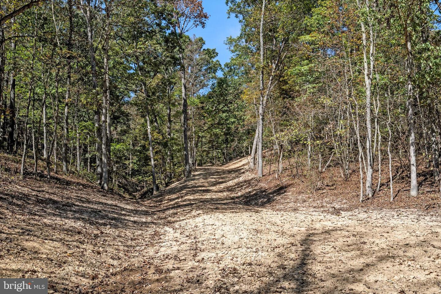 LOT 4 BACK CREEK RD, GORE, Virginia 22637, ,Land,For sale,LOT 4 BACK CREEK RD,VAFV2037398 MLS # VAFV2037398