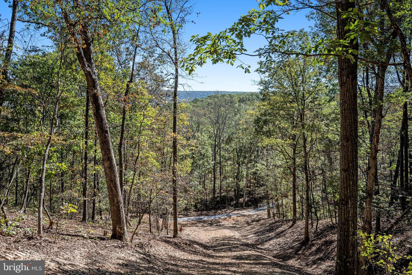 LOT 4 BACK CREEK RD, GORE, Virginia 22637, ,Land,For sale,LOT 4 BACK CREEK RD,VAFV2037398 MLS # VAFV2037398