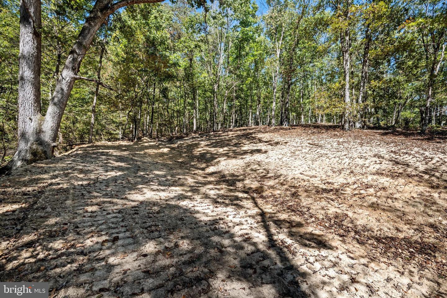 LOT 4 BACK CREEK RD, GORE, Virginia 22637, ,Land,For sale,LOT 4 BACK CREEK RD,VAFV2037398 MLS # VAFV2037398