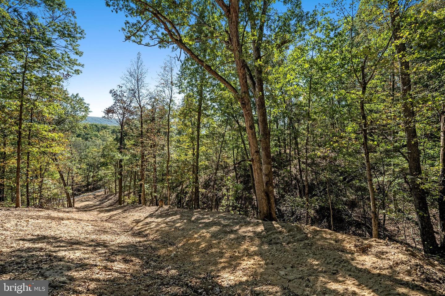 LOT 4 BACK CREEK RD, GORE, Virginia 22637, ,Land,For sale,LOT 4 BACK CREEK RD,VAFV2037398 MLS # VAFV2037398