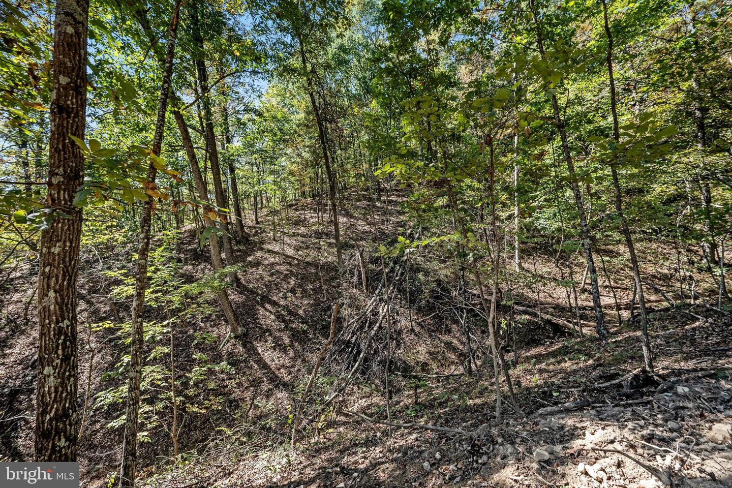 LOT 4 BACK CREEK RD, GORE, Virginia 22637, ,Land,For sale,LOT 4 BACK CREEK RD,VAFV2037398 MLS # VAFV2037398