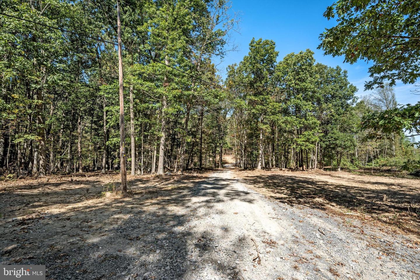 LOT 4 BACK CREEK RD, GORE, Virginia 22637, ,Land,For sale,LOT 4 BACK CREEK RD,VAFV2037398 MLS # VAFV2037398