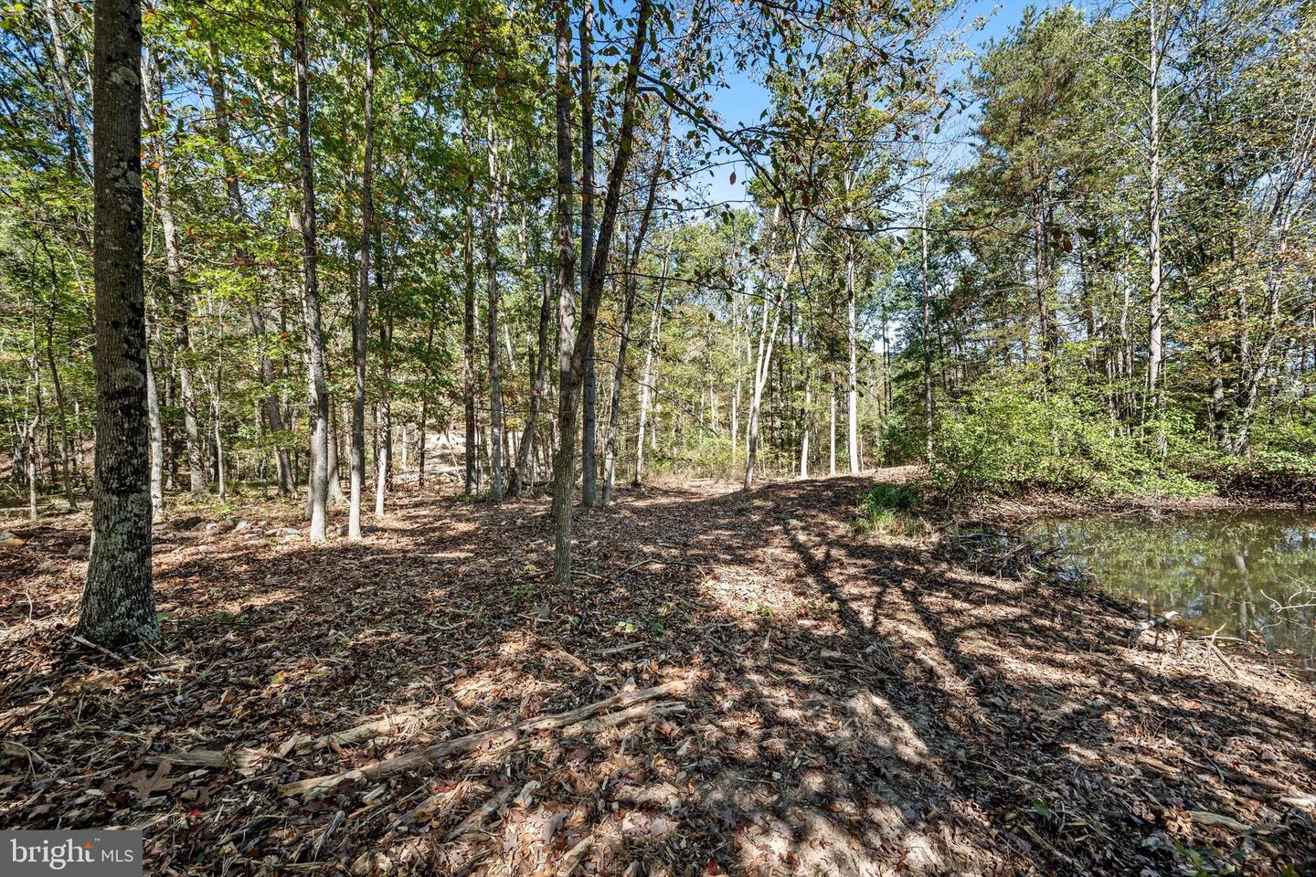 LOT 4 BACK CREEK RD, GORE, Virginia 22637, ,Land,For sale,LOT 4 BACK CREEK RD,VAFV2037398 MLS # VAFV2037398