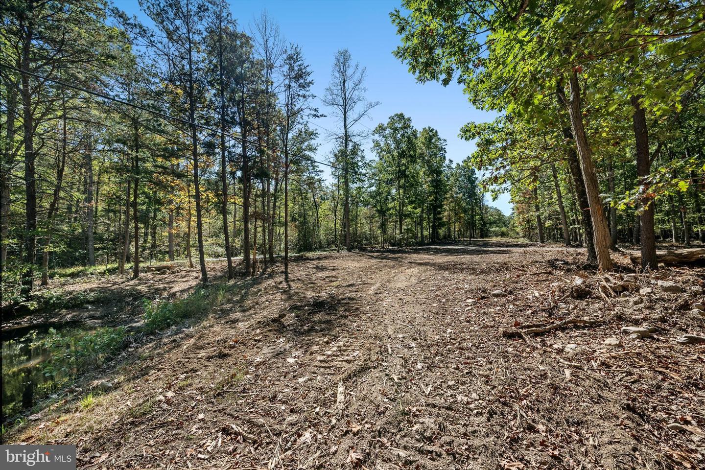 LOT 4 BACK CREEK RD, GORE, Virginia 22637, ,Land,For sale,LOT 4 BACK CREEK RD,VAFV2037398 MLS # VAFV2037398