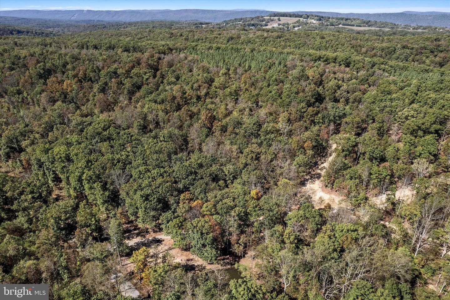LOT 4 BACK CREEK RD, GORE, Virginia 22637, ,Land,For sale,LOT 4 BACK CREEK RD,VAFV2037398 MLS # VAFV2037398