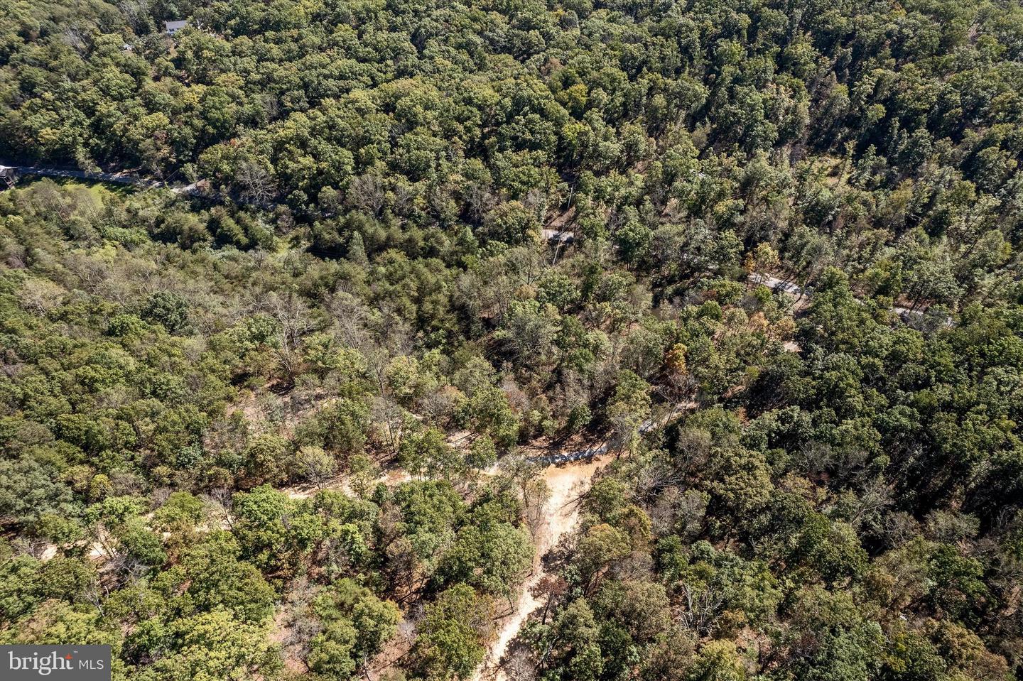 LOT 4 BACK CREEK RD, GORE, Virginia 22637, ,Land,For sale,LOT 4 BACK CREEK RD,VAFV2037398 MLS # VAFV2037398