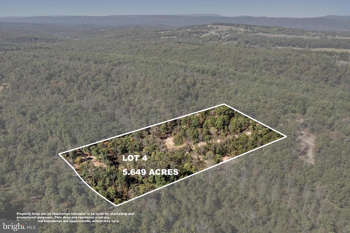 LOT 4 BACK CREEK RD, GORE, Virginia 22637, ,Land,For sale,LOT 4 BACK CREEK RD,VAFV2037398 MLS # VAFV2037398