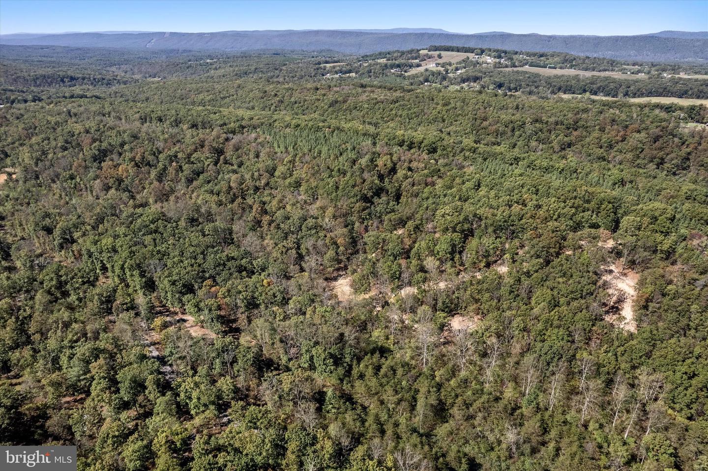 LOT 4 BACK CREEK RD, GORE, Virginia 22637, ,Land,For sale,LOT 4 BACK CREEK RD,VAFV2037398 MLS # VAFV2037398