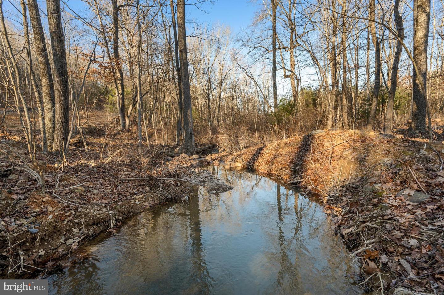 LOT 4 BACK CREEK RD, GORE, Virginia 22637, ,Land,For sale,LOT 4 BACK CREEK RD,VAFV2037398 MLS # VAFV2037398
