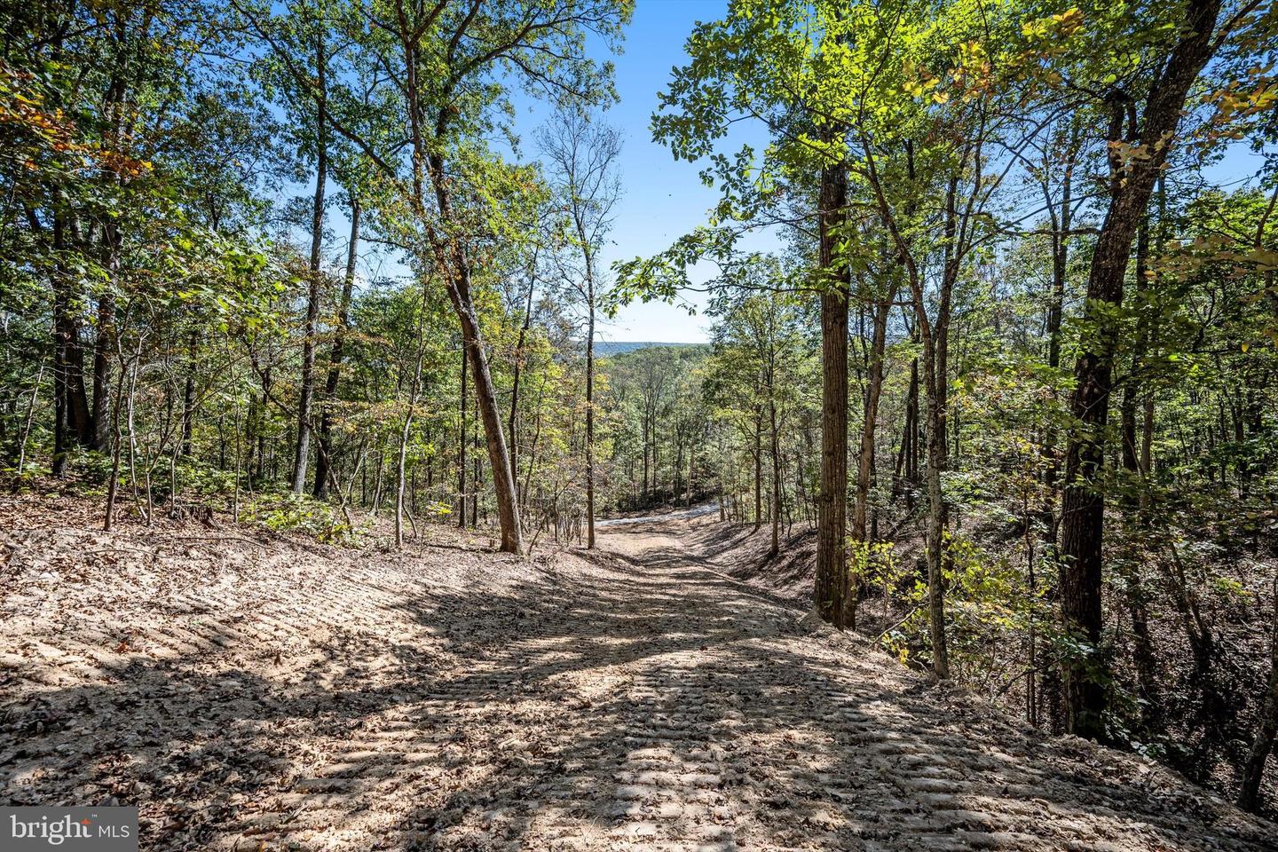 LOT 5 BACK CREEK RD, GORE, Virginia 22637, ,Land,For sale,LOT 5 BACK CREEK RD,VAFV2037402 MLS # VAFV2037402