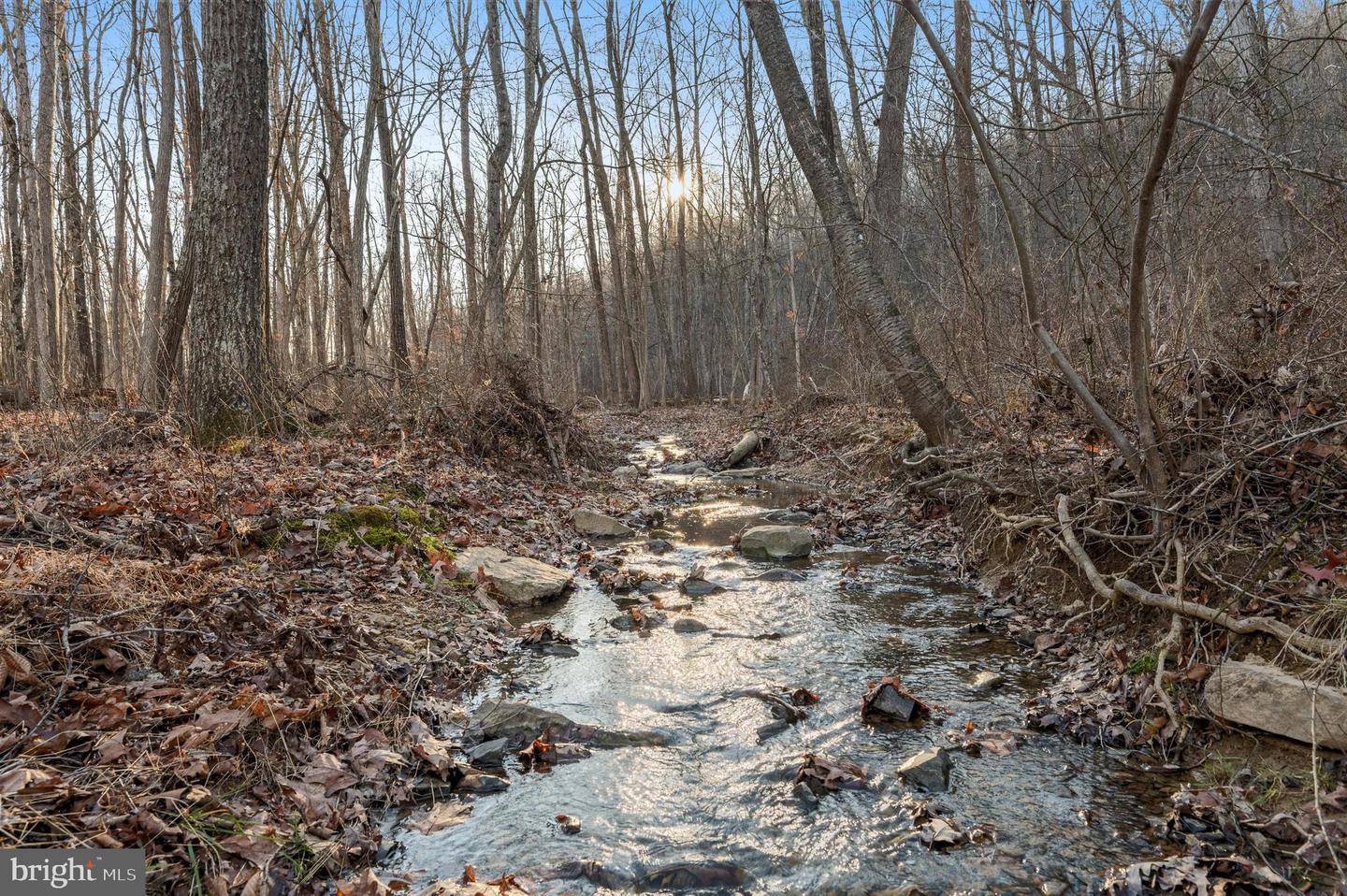 LOT 5 BACK CREEK RD, GORE, Virginia 22637, ,Land,For sale,LOT 5 BACK CREEK RD,VAFV2037402 MLS # VAFV2037402