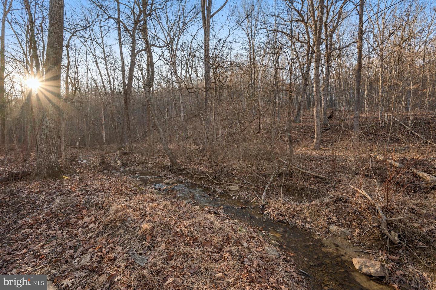 LOT 5 BACK CREEK RD, GORE, Virginia 22637, ,Land,For sale,LOT 5 BACK CREEK RD,VAFV2037402 MLS # VAFV2037402