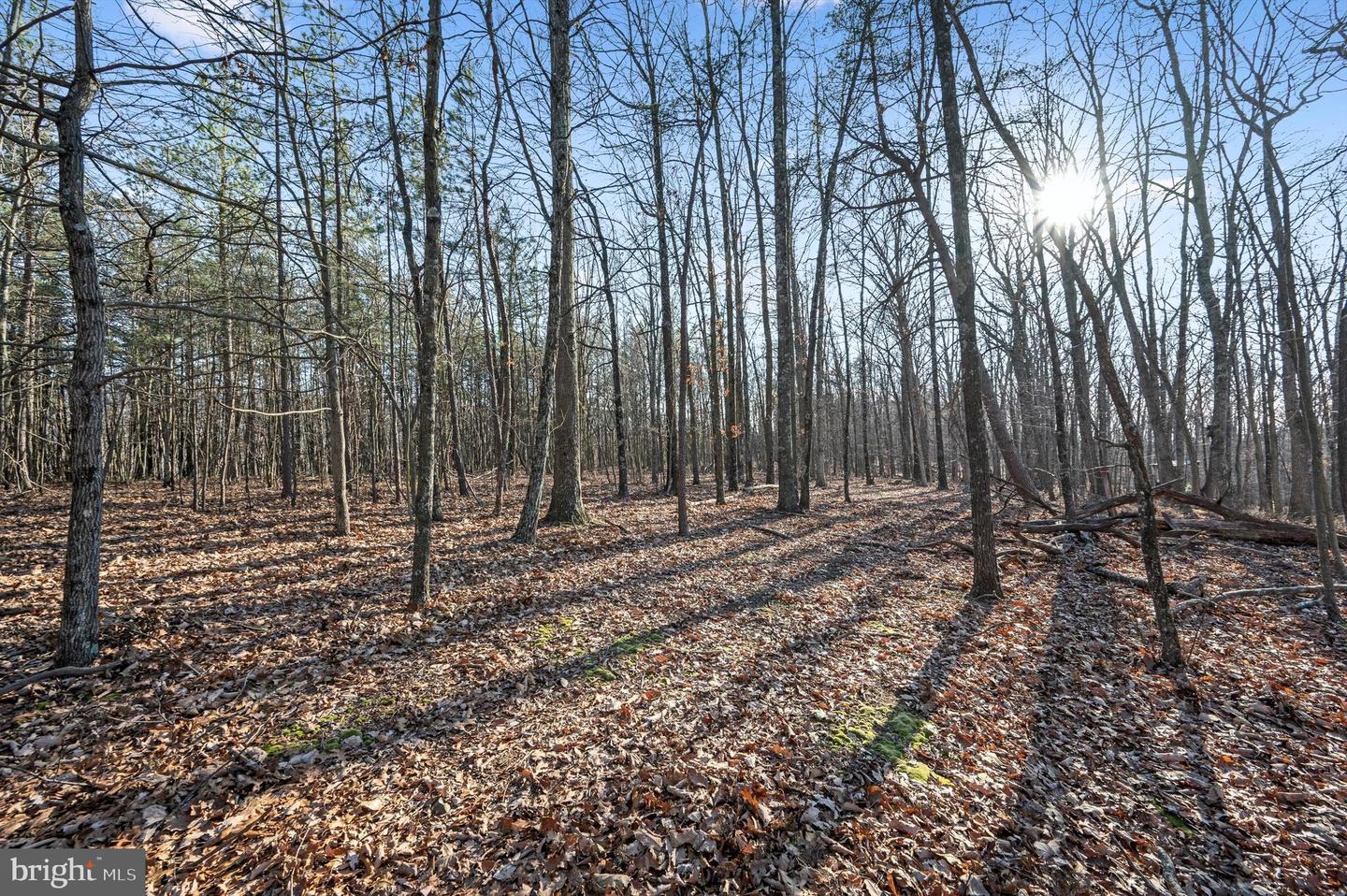 LOT 5 BACK CREEK RD, GORE, Virginia 22637, ,Land,For sale,LOT 5 BACK CREEK RD,VAFV2037402 MLS # VAFV2037402