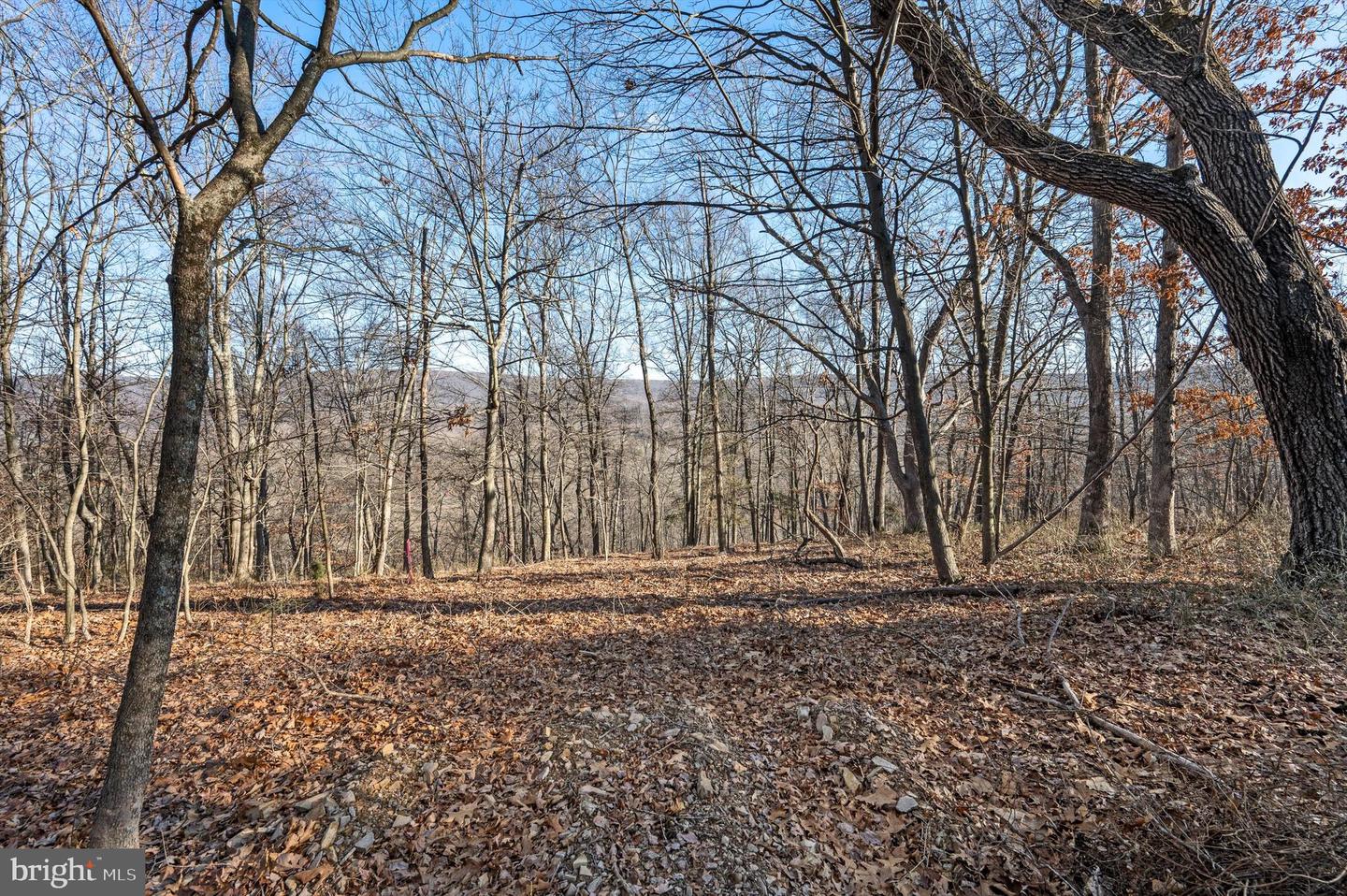 LOT 5 BACK CREEK RD, GORE, Virginia 22637, ,Land,For sale,LOT 5 BACK CREEK RD,VAFV2037402 MLS # VAFV2037402