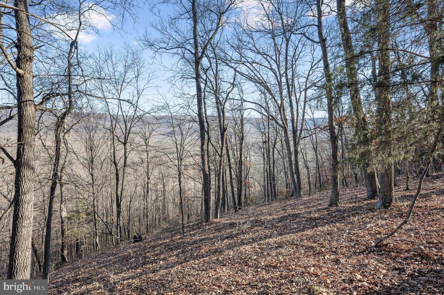 LOT 5 BACK CREEK RD, GORE, Virginia 22637, ,Land,For sale,LOT 5 BACK CREEK RD,VAFV2037402 MLS # VAFV2037402