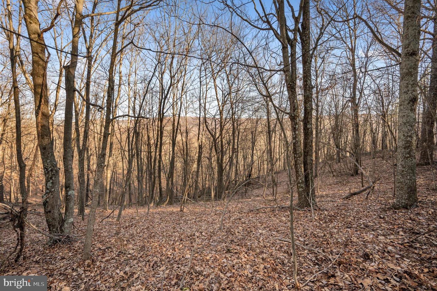LOT 5 BACK CREEK RD, GORE, Virginia 22637, ,Land,For sale,LOT 5 BACK CREEK RD,VAFV2037402 MLS # VAFV2037402