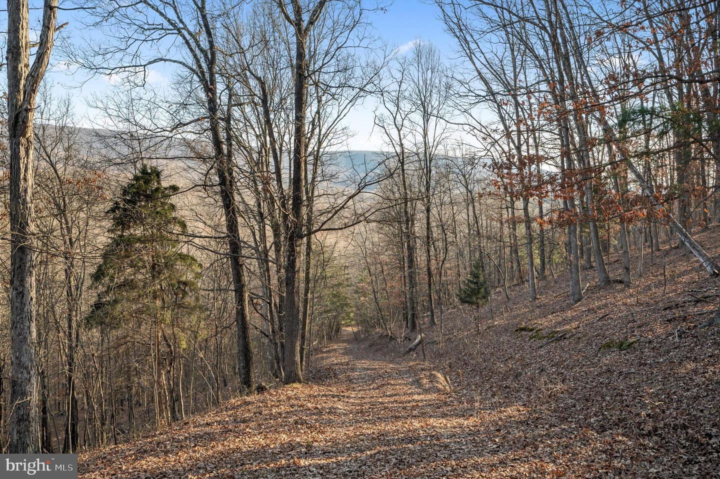 LOT 5 BACK CREEK RD, GORE, Virginia 22637, ,Land,For sale,LOT 5 BACK CREEK RD,VAFV2037402 MLS # VAFV2037402