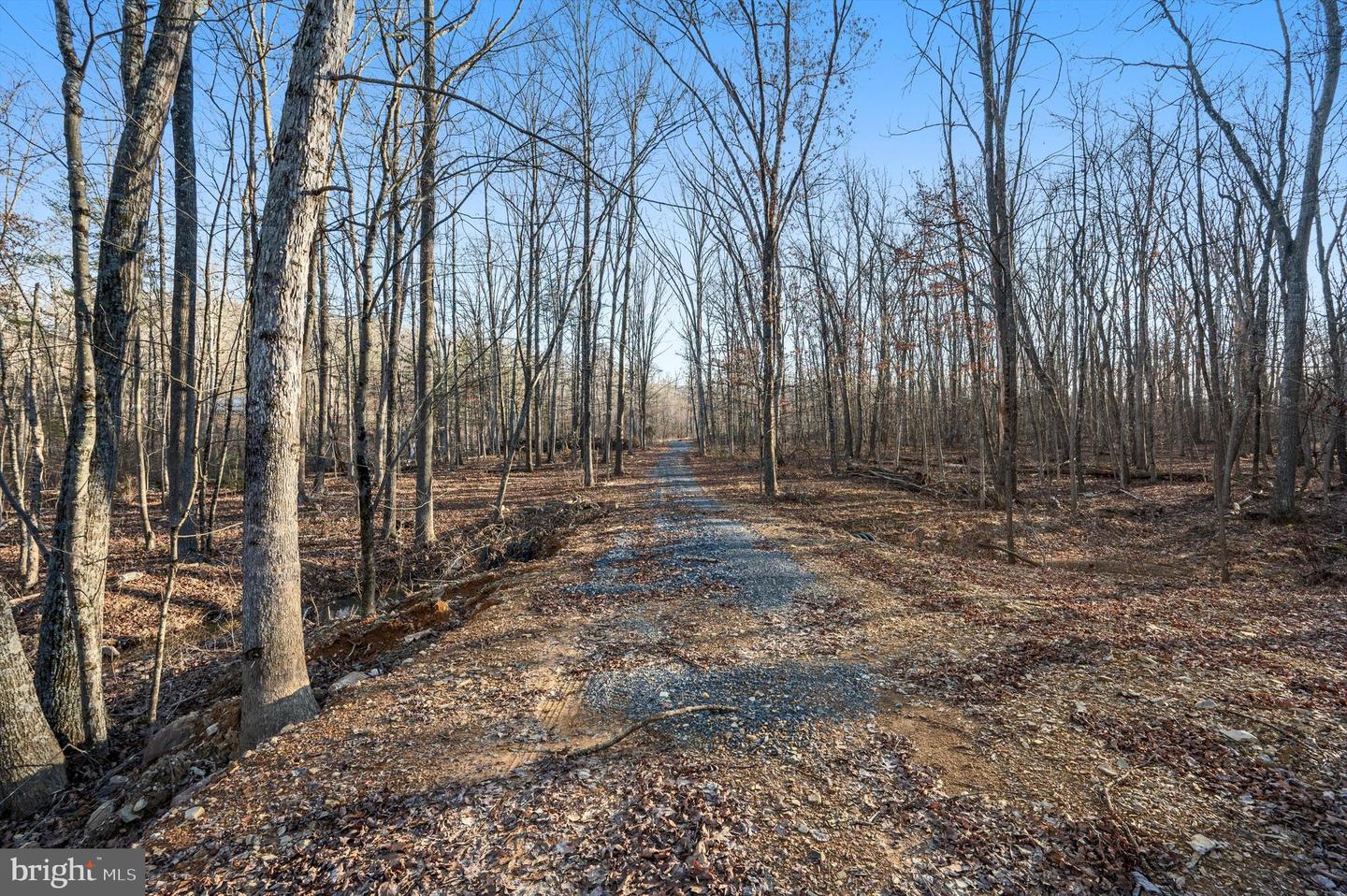 LOT 5 BACK CREEK RD, GORE, Virginia 22637, ,Land,For sale,LOT 5 BACK CREEK RD,VAFV2037402 MLS # VAFV2037402