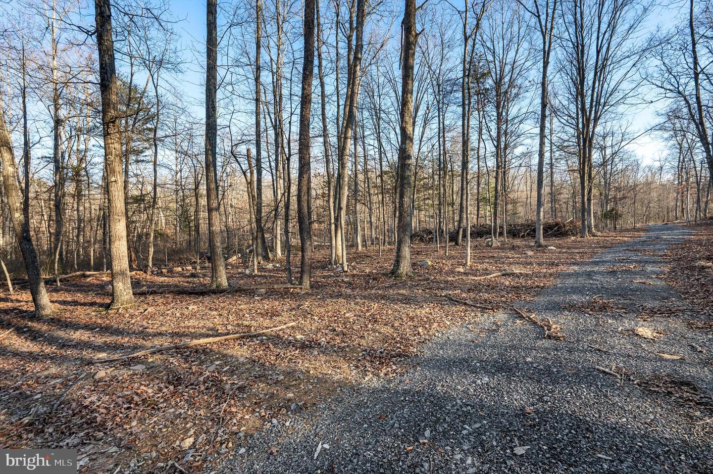 LOT 5 BACK CREEK RD, GORE, Virginia 22637, ,Land,For sale,LOT 5 BACK CREEK RD,VAFV2037402 MLS # VAFV2037402