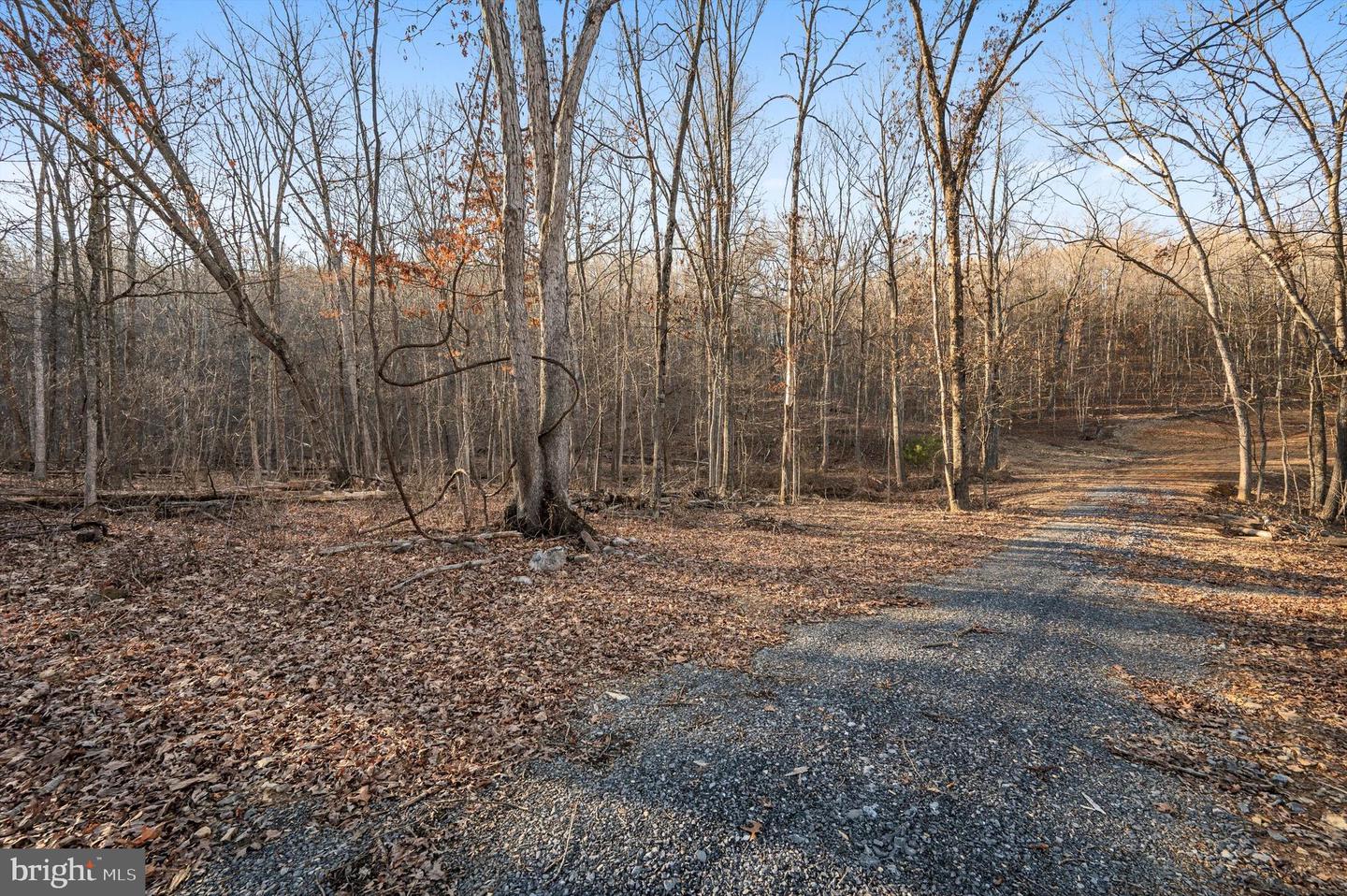 LOT 5 BACK CREEK RD, GORE, Virginia 22637, ,Land,For sale,LOT 5 BACK CREEK RD,VAFV2037402 MLS # VAFV2037402