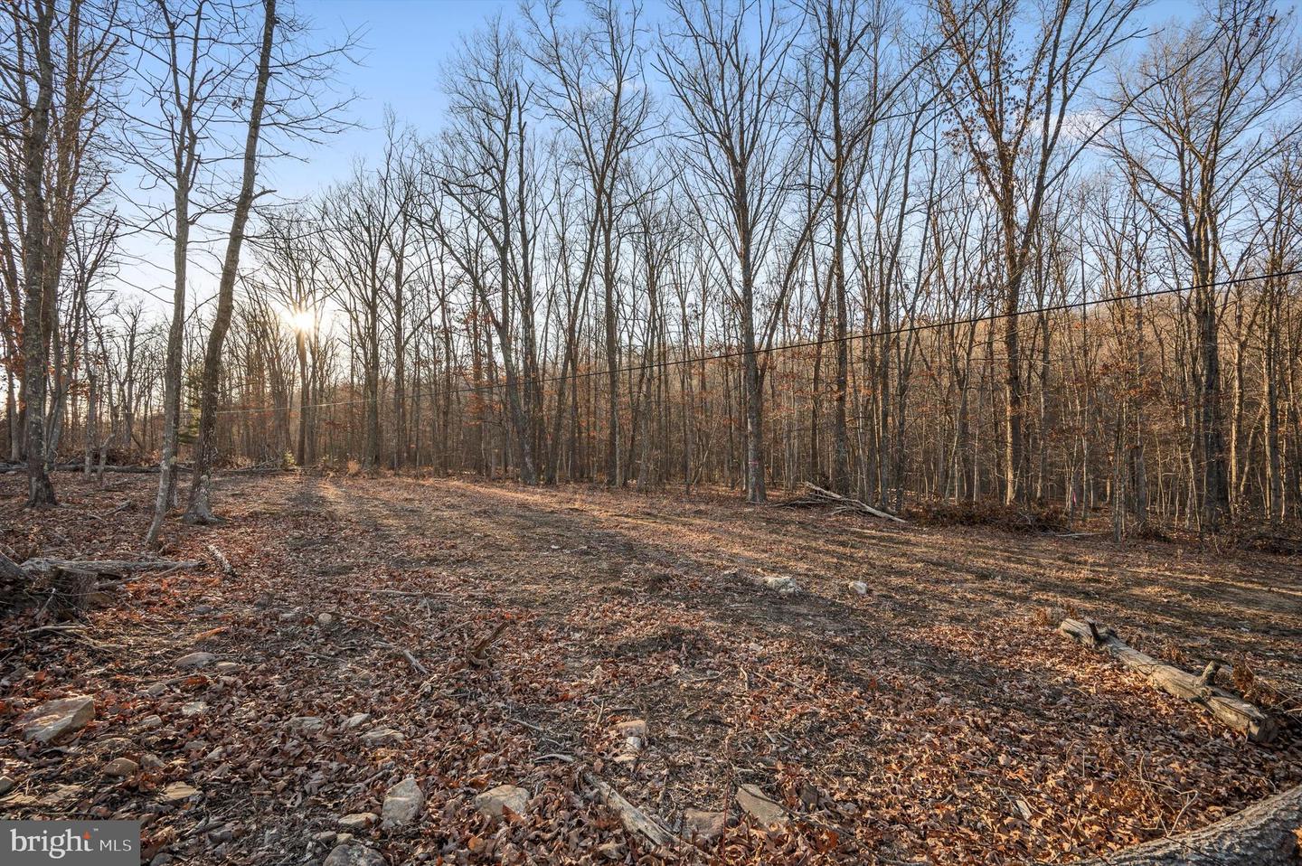 LOT 5 BACK CREEK RD, GORE, Virginia 22637, ,Land,For sale,LOT 5 BACK CREEK RD,VAFV2037402 MLS # VAFV2037402