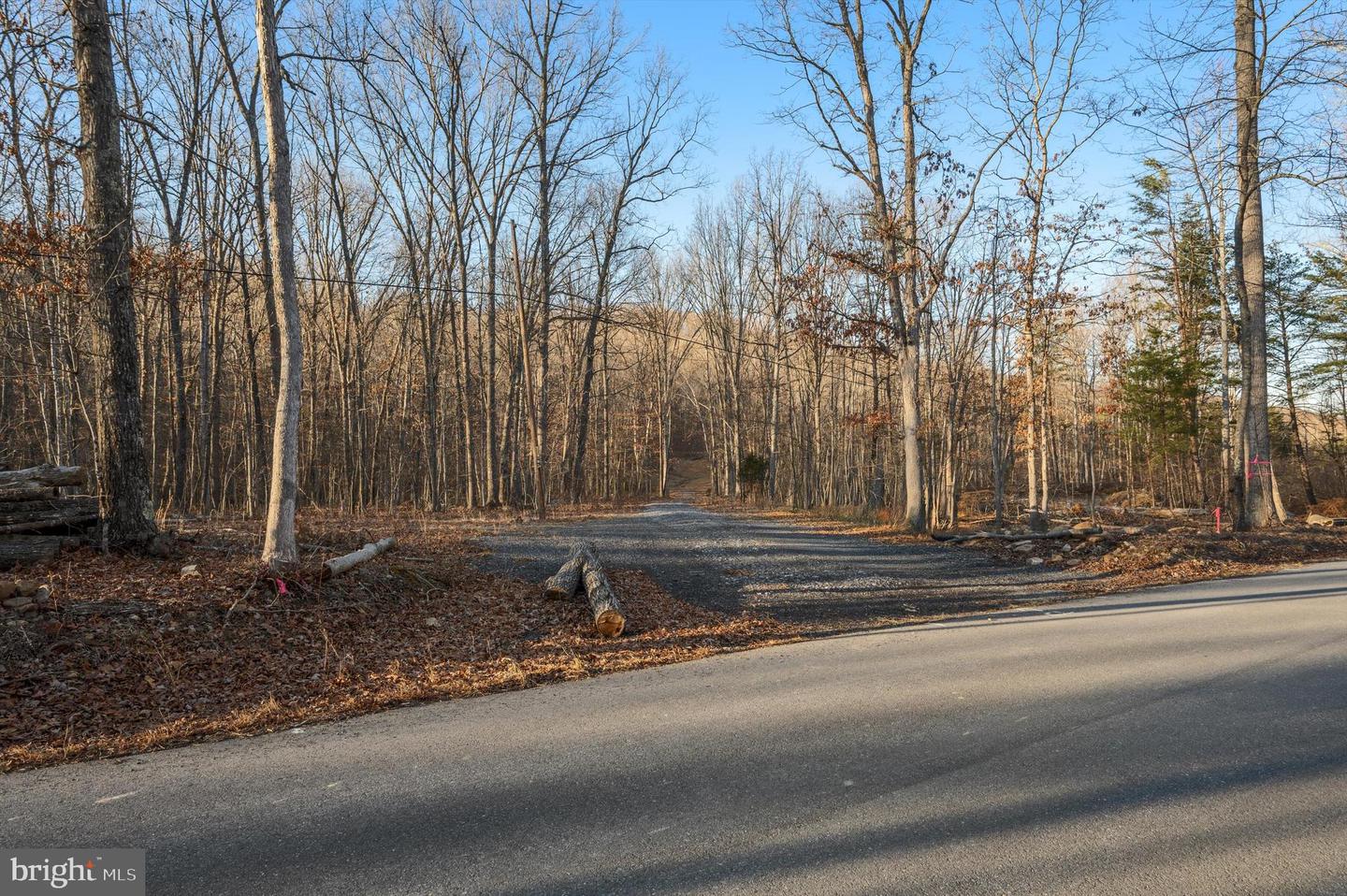 LOT 5 BACK CREEK RD, GORE, Virginia 22637, ,Land,For sale,LOT 5 BACK CREEK RD,VAFV2037402 MLS # VAFV2037402