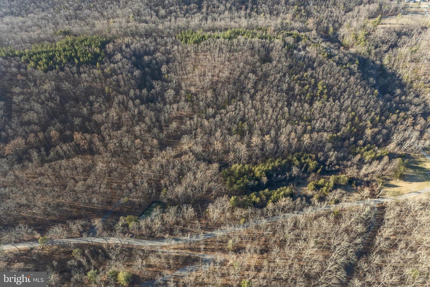 LOT 5 BACK CREEK RD, GORE, Virginia 22637, ,Land,For sale,LOT 5 BACK CREEK RD,VAFV2037402 MLS # VAFV2037402