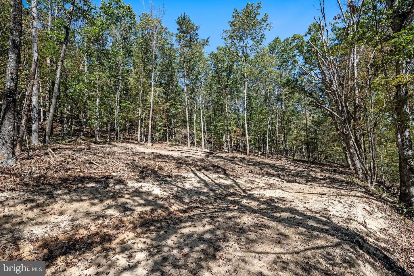 LOT 5 BACK CREEK RD, GORE, Virginia 22637, ,Land,For sale,LOT 5 BACK CREEK RD,VAFV2037402 MLS # VAFV2037402