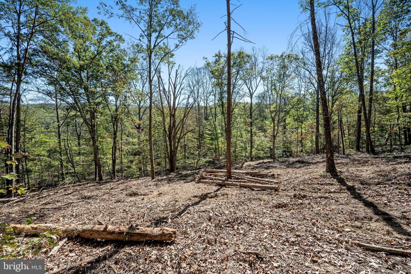 LOT 5 BACK CREEK RD, GORE, Virginia 22637, ,Land,For sale,LOT 5 BACK CREEK RD,VAFV2037402 MLS # VAFV2037402