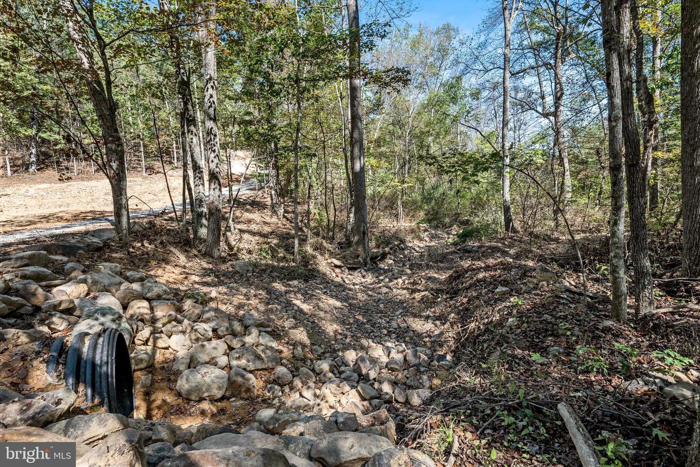 LOT 5 BACK CREEK RD, GORE, Virginia 22637, ,Land,For sale,LOT 5 BACK CREEK RD,VAFV2037402 MLS # VAFV2037402