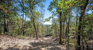 LOT 5 BACK CREEK RD, GORE, Virginia 22637, ,Land,For sale,LOT 5 BACK CREEK RD,VAFV2037402 MLS # VAFV2037402