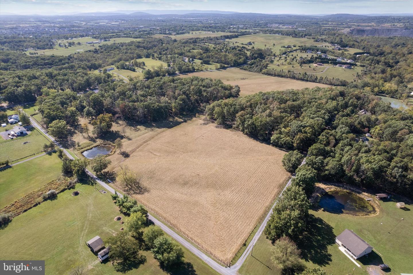LOT 9A SLATE LANE, STEPHENSON, Virginia 22656, ,Land,For sale,LOT 9A SLATE LANE,VAFV2037418 MLS # VAFV2037418 LOT 9A SLATE LANE, STEPHENSON, Virginia 22656, ,Land,For sale,LOT 9A SLATE LANE,VAFV2037418 MLS # VAFV2037418