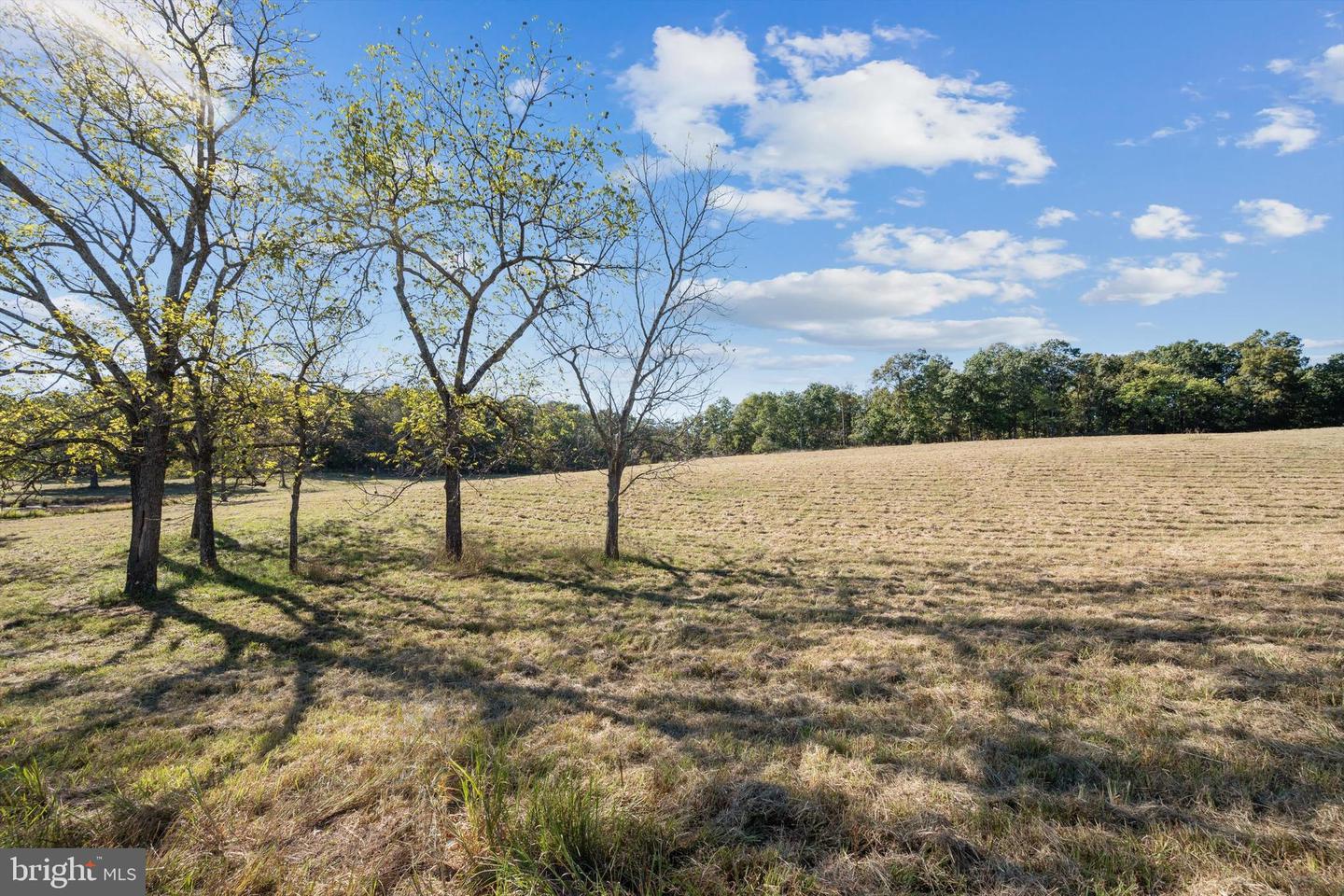 LOT 9A SLATE LANE, STEPHENSON, Virginia 22656, ,Land,For sale,LOT 9A SLATE LANE,VAFV2037418 MLS # VAFV2037418 LOT 9A SLATE LANE, STEPHENSON, Virginia 22656, ,Land,For sale,LOT 9A SLATE LANE,VAFV2037418 MLS # VAFV2037418