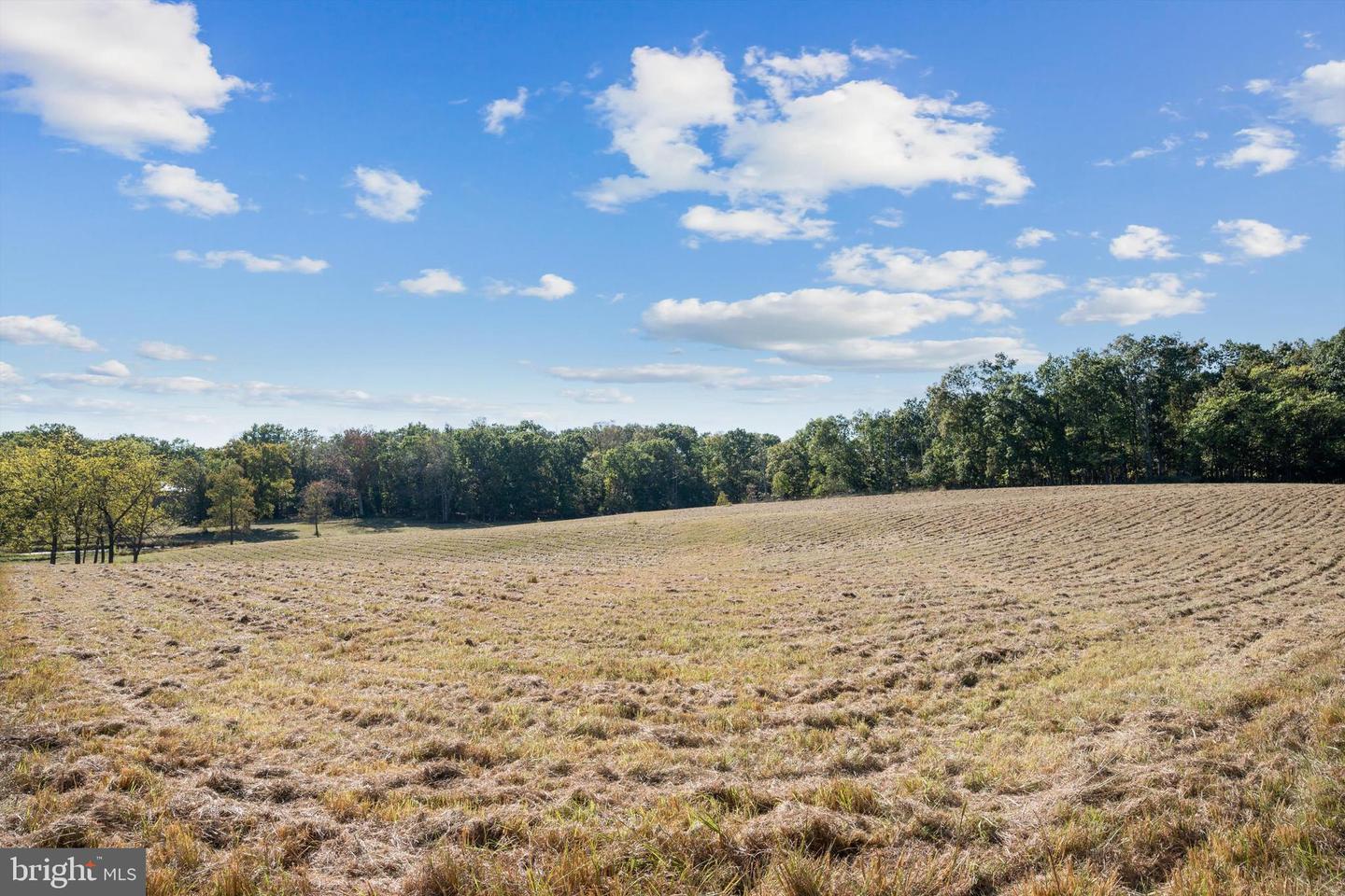 LOT 9A SLATE LANE, STEPHENSON, Virginia 22656, ,Land,For sale,LOT 9A SLATE LANE,VAFV2037418 MLS # VAFV2037418 LOT 9A SLATE LANE, STEPHENSON, Virginia 22656, ,Land,For sale,LOT 9A SLATE LANE,VAFV2037418 MLS # VAFV2037418