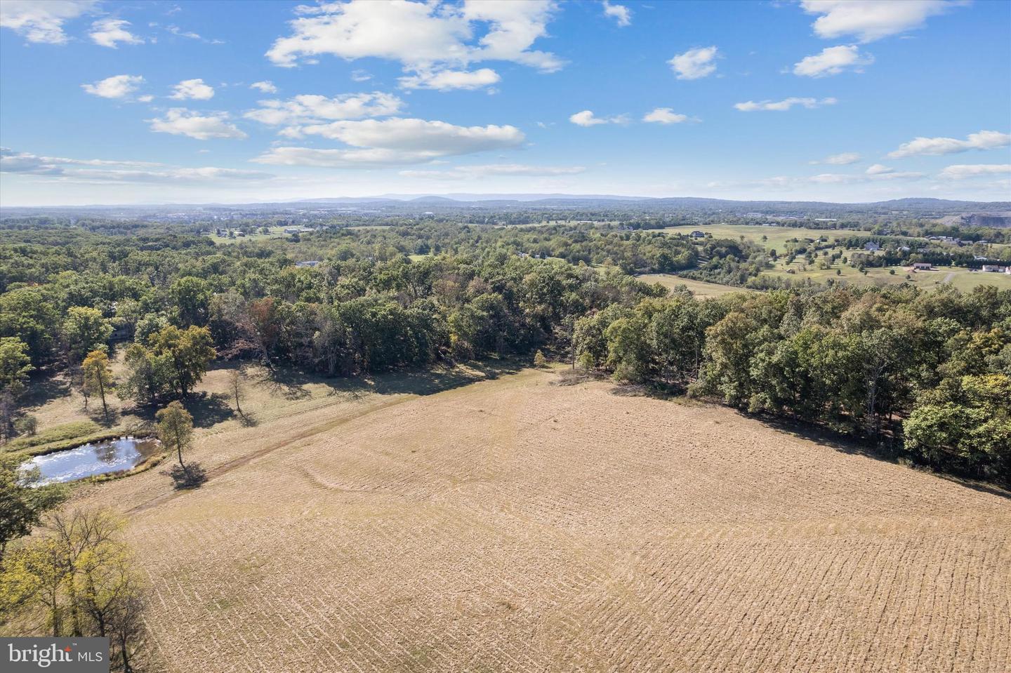 LOT 9A SLATE LANE, STEPHENSON, Virginia 22656, ,Land,For sale,LOT 9A SLATE LANE,VAFV2037418 MLS # VAFV2037418 LOT 9A SLATE LANE, STEPHENSON, Virginia 22656, ,Land,For sale,LOT 9A SLATE LANE,VAFV2037418 MLS # VAFV2037418