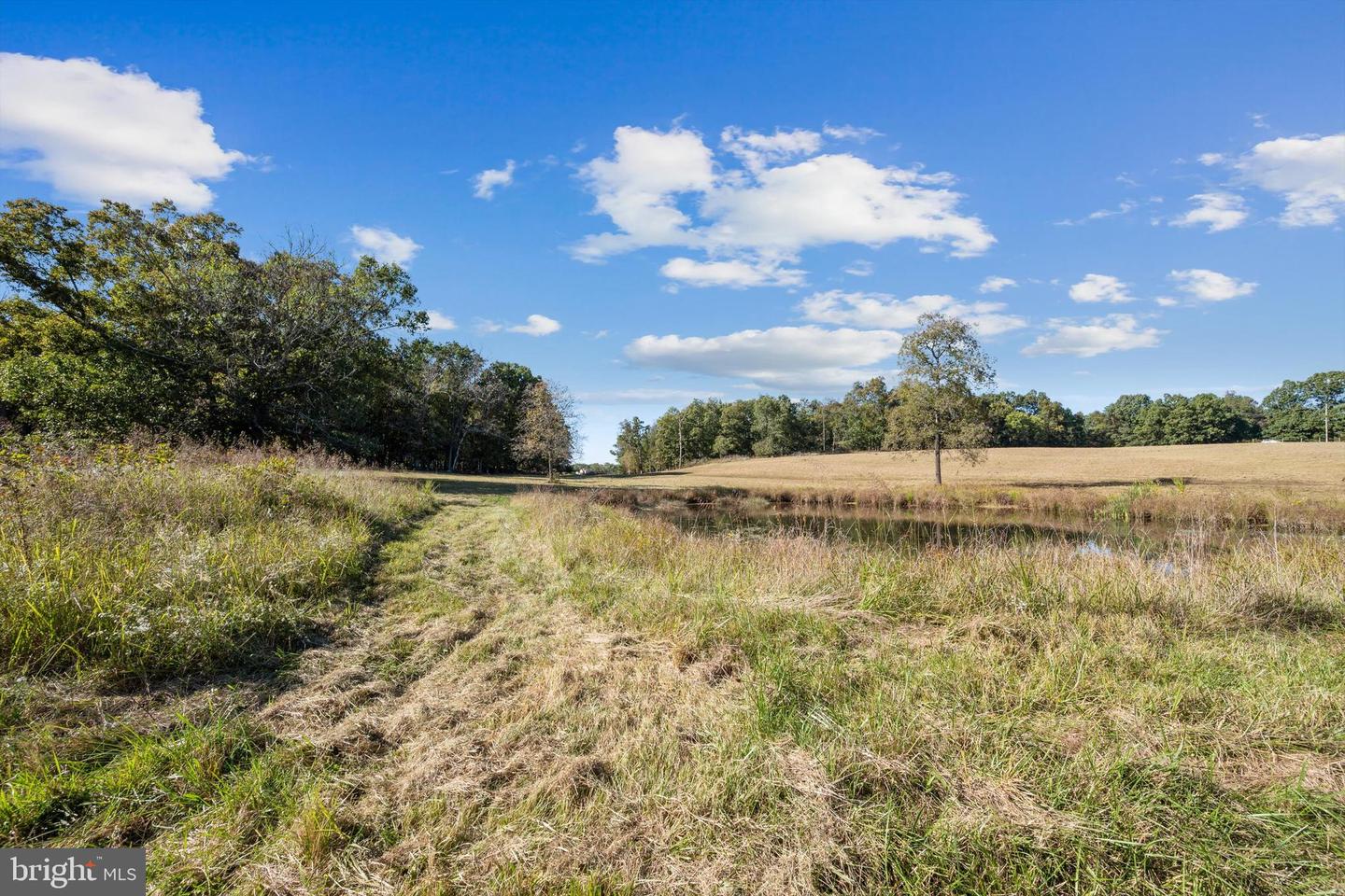 LOT 9B SLATE LANE, STEPHENSON, Virginia 22656, ,Land,For sale,LOT 9B SLATE LANE,VAFV2037420 MLS # VAFV2037420 LOT 9B SLATE LANE, STEPHENSON, Virginia 22656, ,Land,For sale,LOT 9B SLATE LANE,VAFV2037420 MLS # VAFV2037420