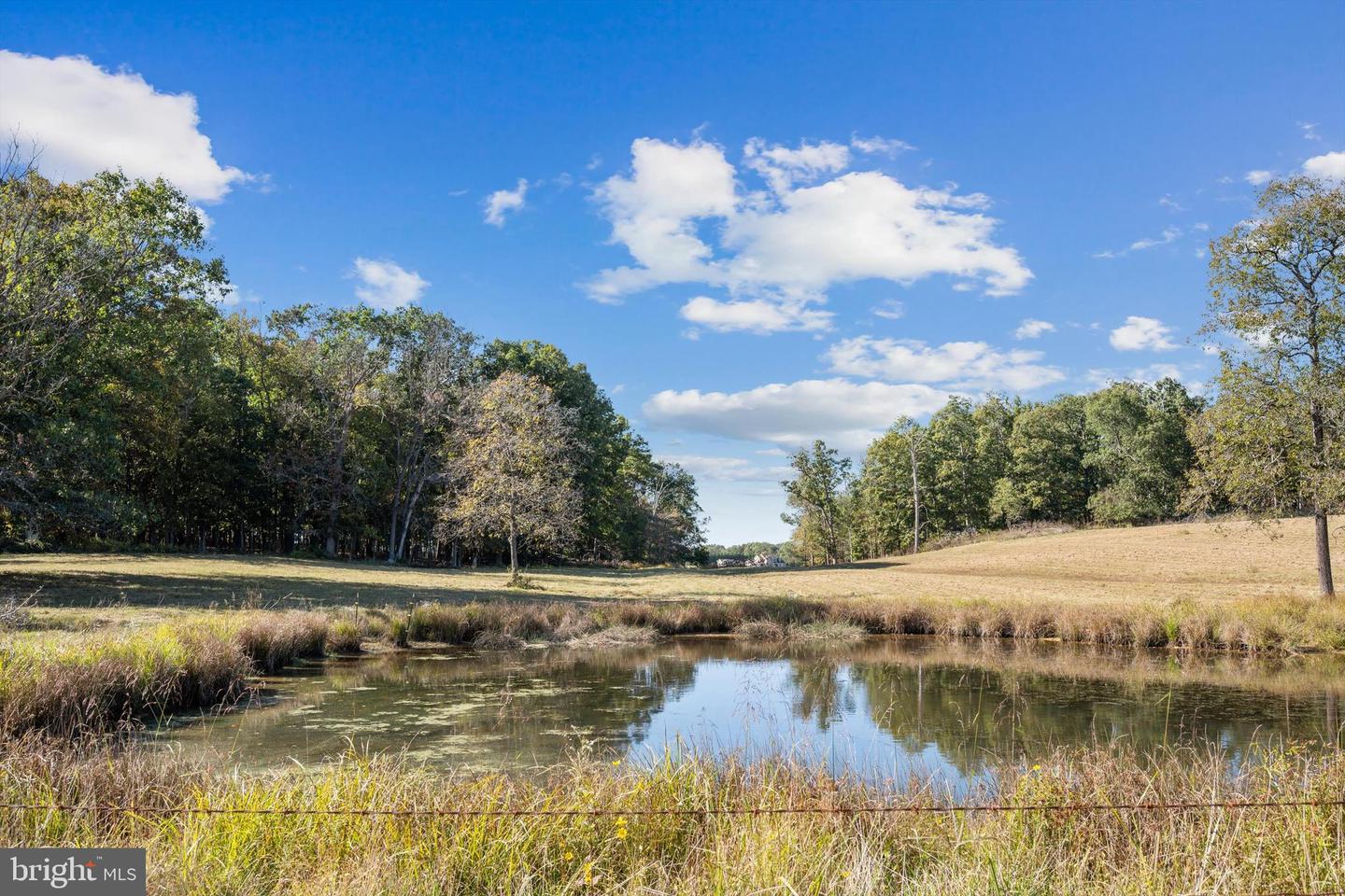 LOT 9B SLATE LANE, STEPHENSON, Virginia 22656, ,Land,For sale,LOT 9B SLATE LANE,VAFV2037420 MLS # VAFV2037420 LOT 9B SLATE LANE, STEPHENSON, Virginia 22656, ,Land,For sale,LOT 9B SLATE LANE,VAFV2037420 MLS # VAFV2037420
