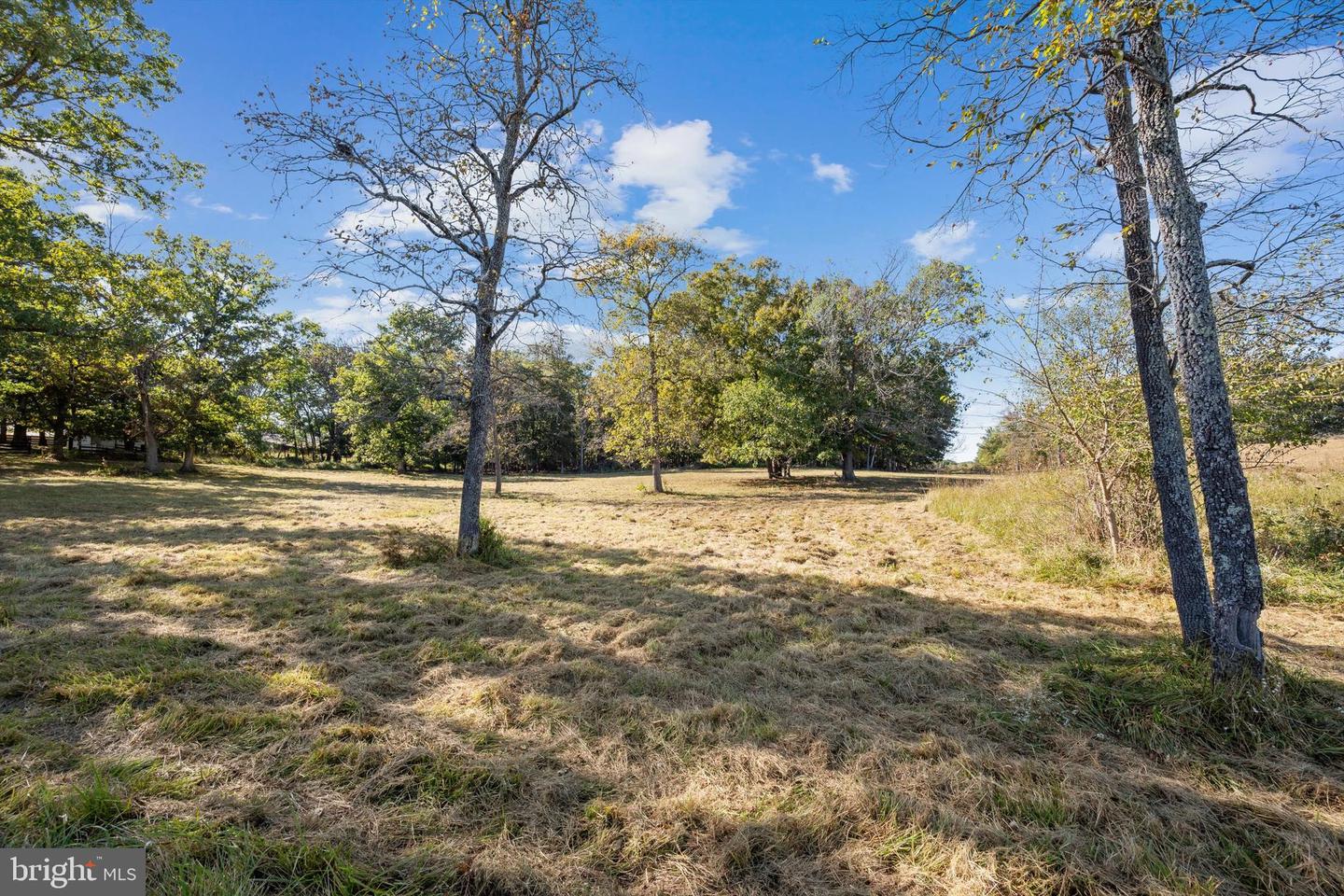 LOT 9B SLATE LANE, STEPHENSON, Virginia 22656, ,Land,For sale,LOT 9B SLATE LANE,VAFV2037420 MLS # VAFV2037420 LOT 9B SLATE LANE, STEPHENSON, Virginia 22656, ,Land,For sale,LOT 9B SLATE LANE,VAFV2037420 MLS # VAFV2037420
