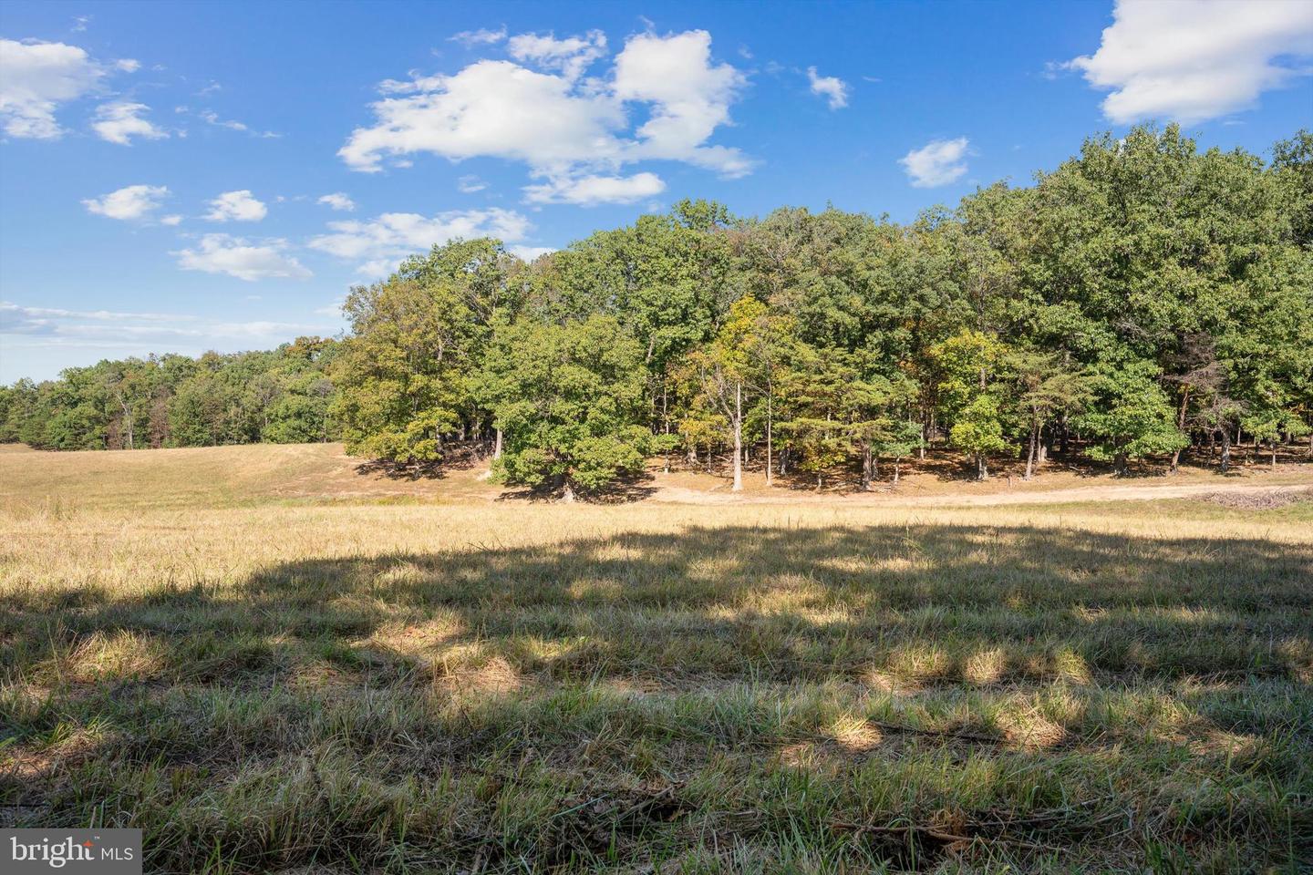 LOT 4 GUN CLUB ROAD, STEPHENSON, Virginia 22656, ,Land,For sale,LOT 4 GUN CLUB ROAD,VAFV2037432 MLS # VAFV2037432