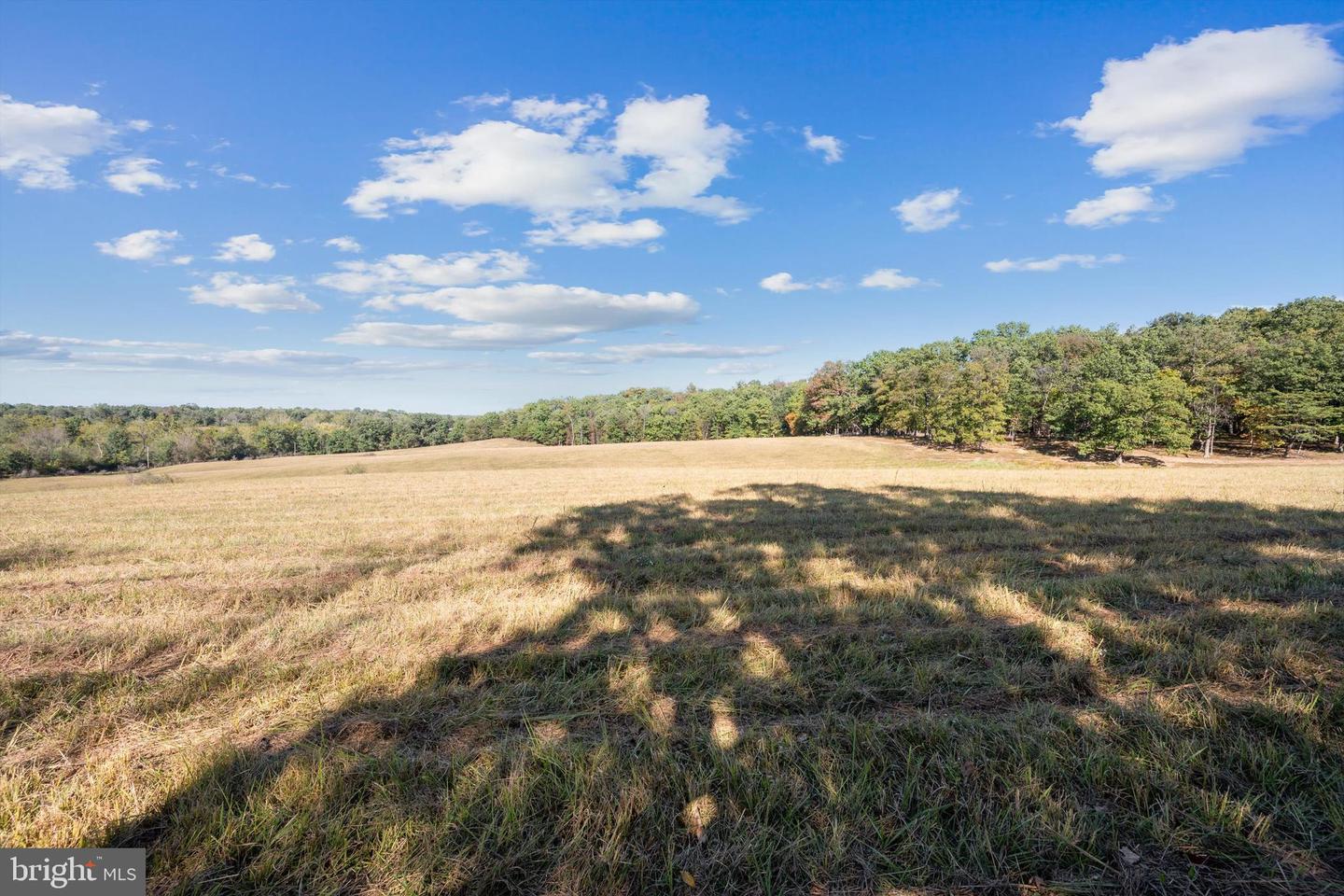 LOT 5 GUN CLUB ROAD, STEPHENSON, Virginia 22656, ,Land,For sale,LOT 5 GUN CLUB ROAD,VAFV2037434 MLS # VAFV2037434