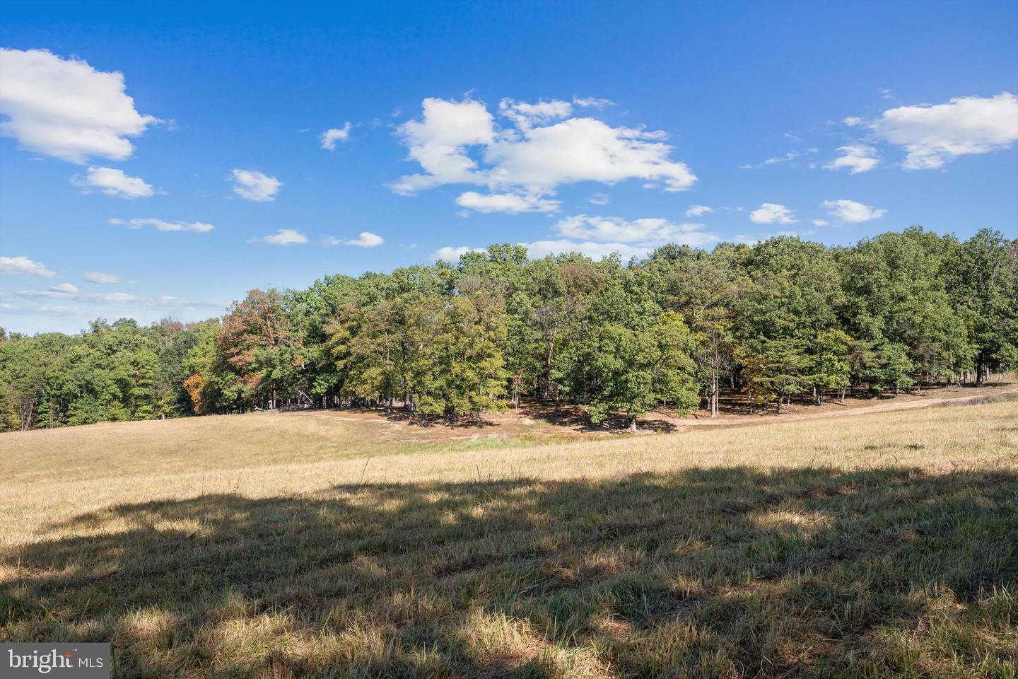 LOT 5 GUN CLUB ROAD, STEPHENSON, Virginia 22656, ,Land,For sale,LOT 5 GUN CLUB ROAD,VAFV2037434 MLS # VAFV2037434