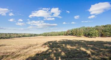 LOT 5 GUN CLUB ROAD, STEPHENSON, Virginia 22656, ,Land,For sale,LOT 5 GUN CLUB ROAD,VAFV2037434 MLS # VAFV2037434