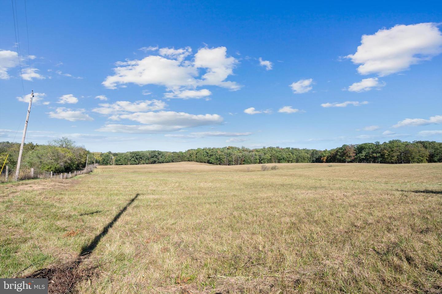LOT 6 GUN CLUB ROAD, STEPHENSON, Virginia 22656, ,Land,For sale,LOT 6 GUN CLUB ROAD,VAFV2037436 MLS # VAFV2037436 LOT 6 GUN CLUB ROAD, STEPHENSON, Virginia 22656, ,Land,For sale,LOT 6 GUN CLUB ROAD,VAFV2037436 MLS # VAFV2037436