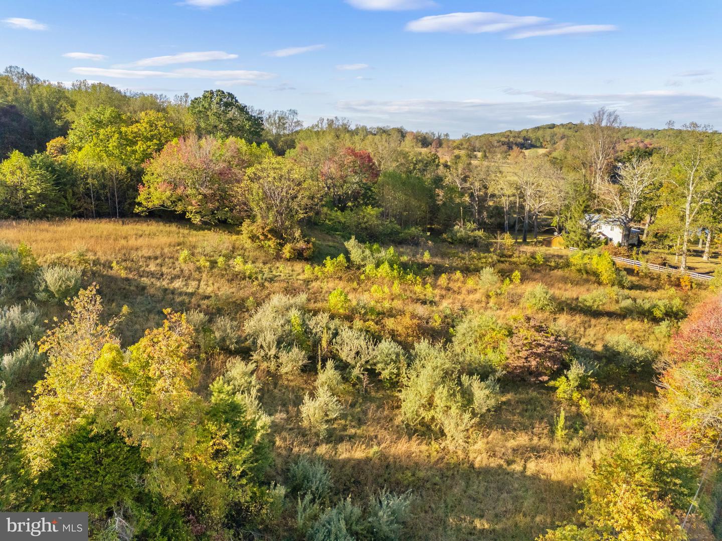 6450 JOHN BARTON PAYNE RD, MARSHALL, Virginia 20115, ,Land,For sale,6450 JOHN BARTON PAYNE RD,VAFQ2019442 MLS # VAFQ2019442