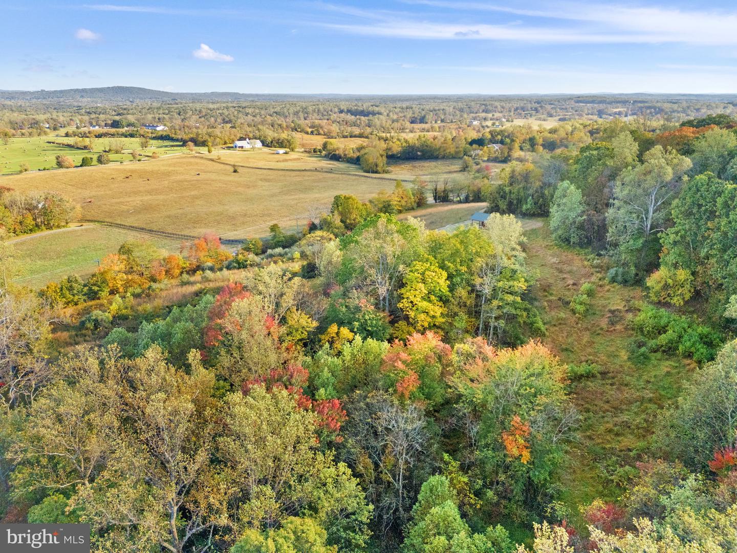 6450 JOHN BARTON PAYNE RD, MARSHALL, Virginia 20115, ,Land,For sale,6450 JOHN BARTON PAYNE RD,VAFQ2019442 MLS # VAFQ2019442
