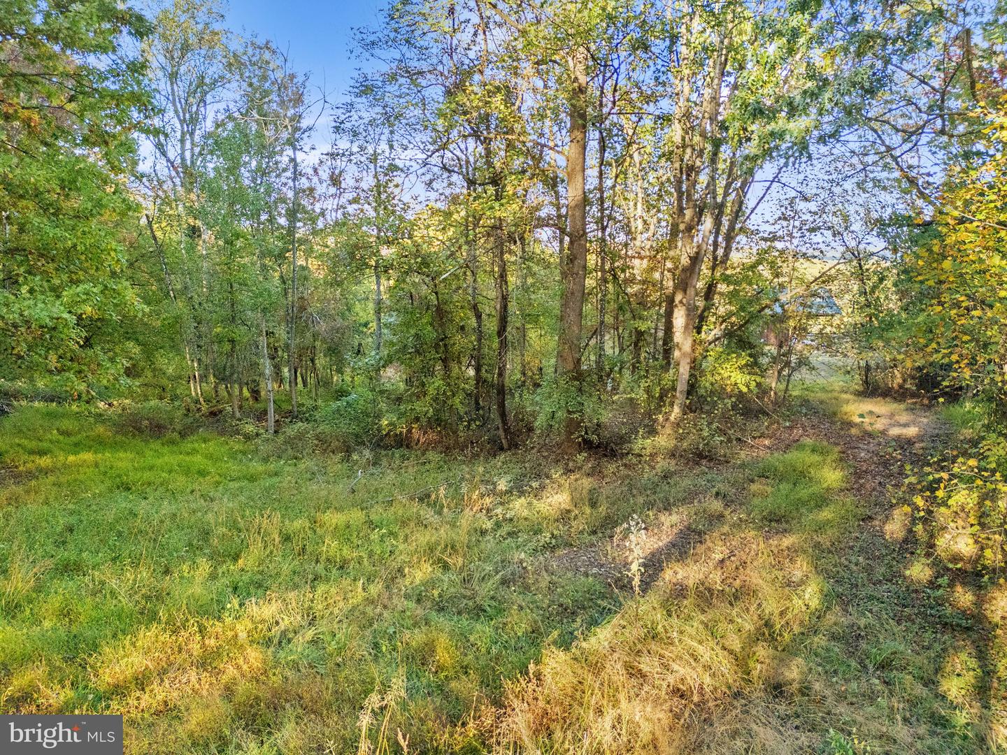 6450 JOHN BARTON PAYNE RD, MARSHALL, Virginia 20115, ,Land,For sale,6450 JOHN BARTON PAYNE RD,VAFQ2019442 MLS # VAFQ2019442