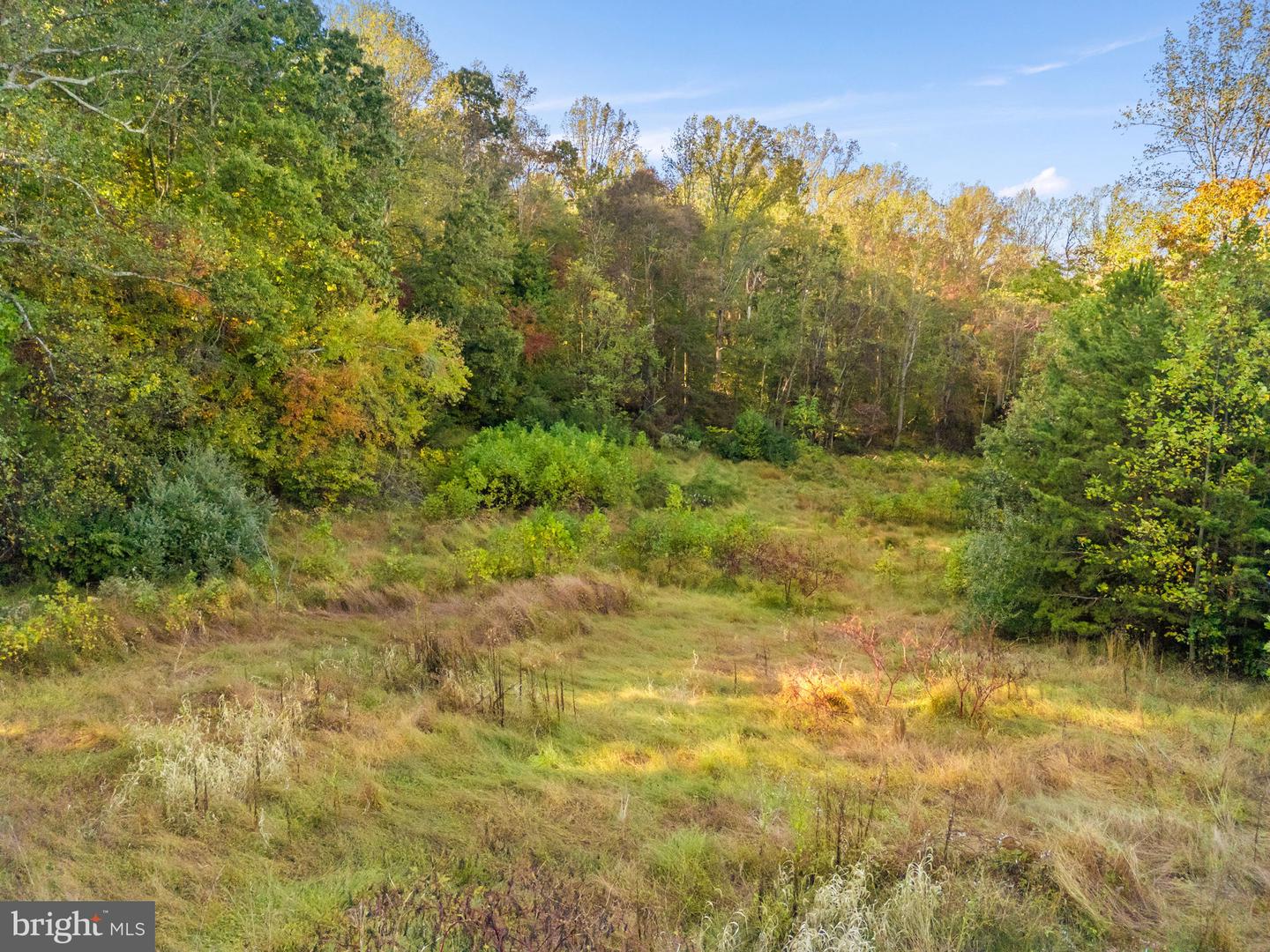 6450 JOHN BARTON PAYNE RD, MARSHALL, Virginia 20115, ,Land,For sale,6450 JOHN BARTON PAYNE RD,VAFQ2019442 MLS # VAFQ2019442