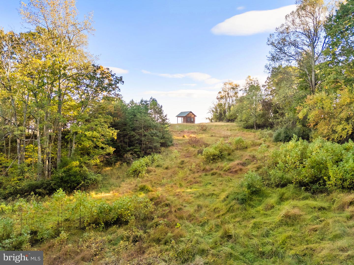 6450 JOHN BARTON PAYNE RD, MARSHALL, Virginia 20115, ,Land,For sale,6450 JOHN BARTON PAYNE RD,VAFQ2019442 MLS # VAFQ2019442