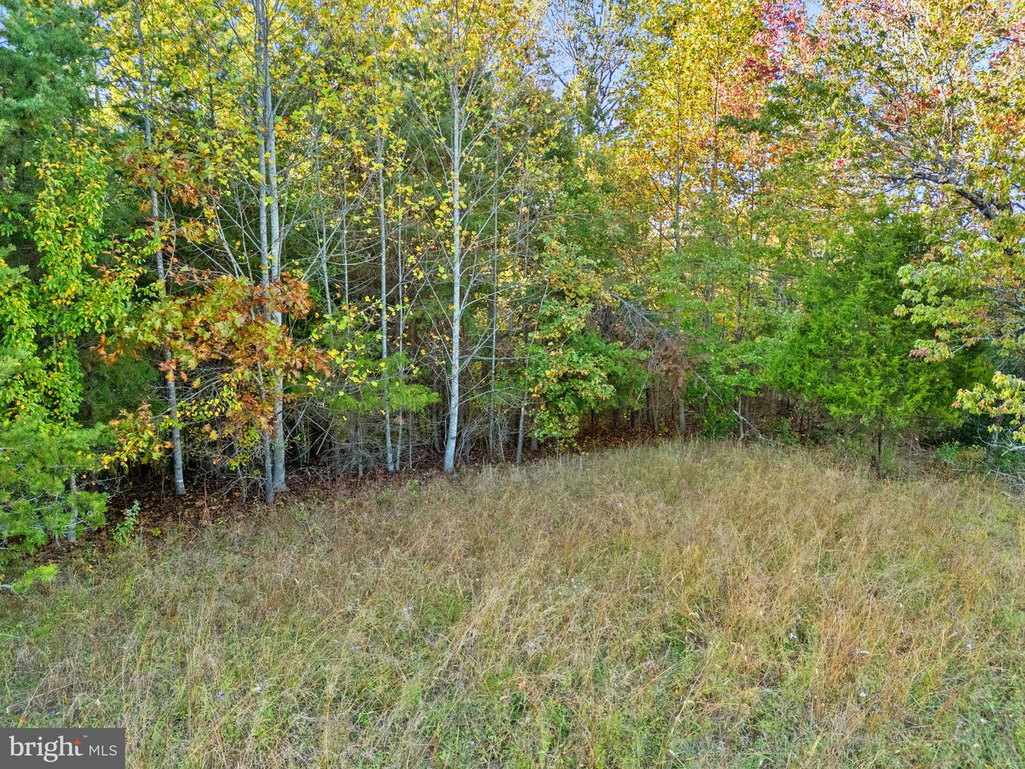 6450 JOHN BARTON PAYNE RD, MARSHALL, Virginia 20115, ,Land,For sale,6450 JOHN BARTON PAYNE RD,VAFQ2019442 MLS # VAFQ2019442