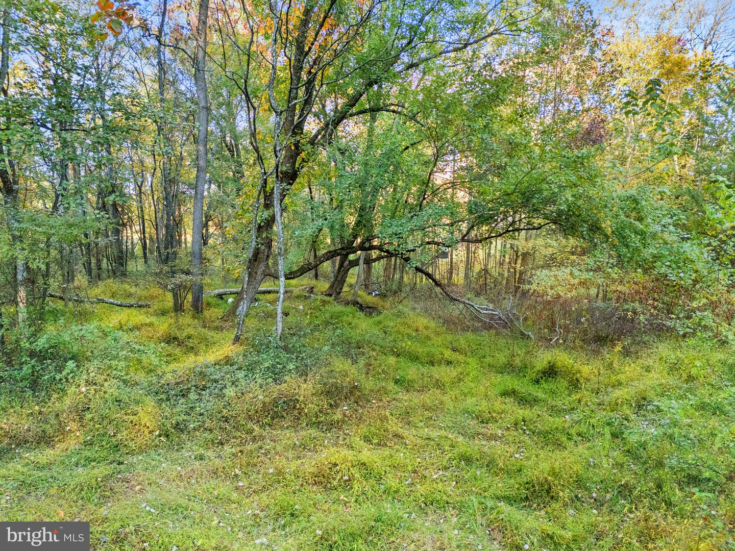 6450 JOHN BARTON PAYNE RD, MARSHALL, Virginia 20115, ,Land,For sale,6450 JOHN BARTON PAYNE RD,VAFQ2019442 MLS # VAFQ2019442